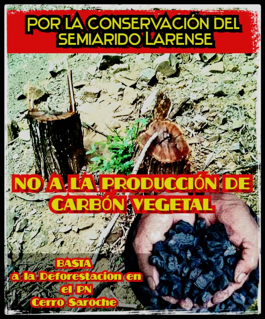 pelon_mzn's tweet image. No a la producción  de carbón vegetal con el  #semiarido #larence

@aukayaman @partidoverdeven @ProyectoSirena_ @campuzano_joel @Torcatezhj @noalcarbonZulia @Noalcarbone_BR @nocarbonhere @MVYeseniaMedina @EsdeProfugos