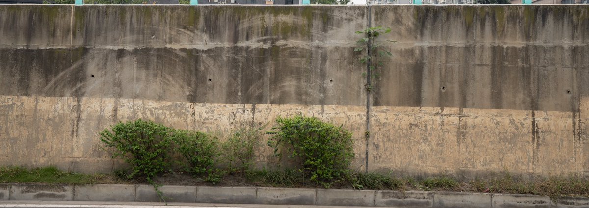 YeHangHarry's tweet image. Leak reference 
#EnvironmentArt #TextureReference