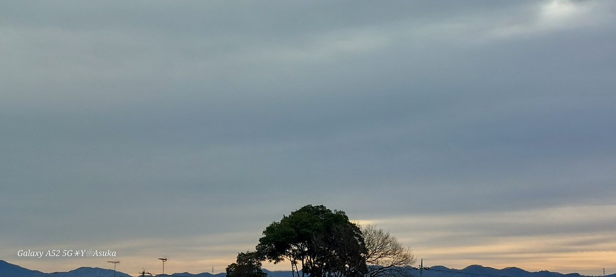 yumeasutw's tweet photo. 空一面グレーの厚い雲におおわれた水曜日の朝☁️
まだまだ #ミニバラ は花盛り🌹
予想最高/最低気温🌡️13℃/1℃
曇りのち雨☁️→☔
薄日が差すものの雲が優勢。夜は俄か雨に御用心🌂
#イマソラ
#朝空
#空の名前
#天気の図鑑
#高層雲
#薔薇 #バラ #Rose
#庭花 #花 #Flower
#a2024 #a0103 #a202401 https://t.co/uFVj7VrbrV