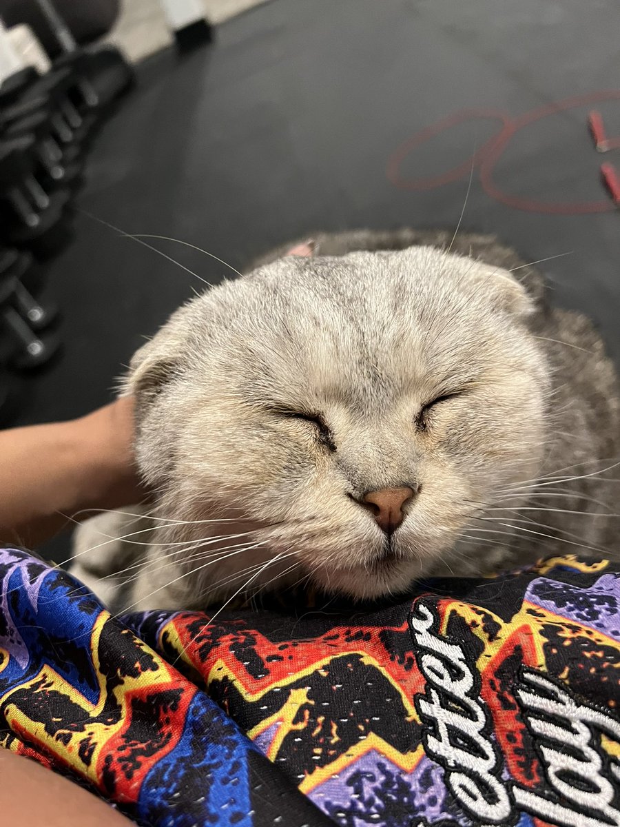 macaiyla's tweet image. He did not like having T’s family here this weekend…never seen my baby this sad 😔