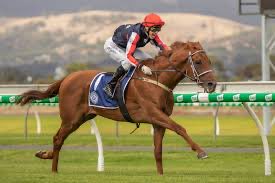 riverbankfarm1's tweet photo. Dalasan. 2024 the book 📕 is going to be choc a bloc - Fee  $5500 including vet fees. #breedtorace #Dalasan ONLY @riverbankfarm1  ☘️ ☘️ ☘️ https://t.co/Z9WBus5utj