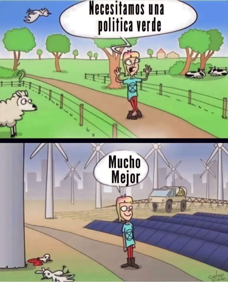 Carlos Bonifetti del 38% tweet media