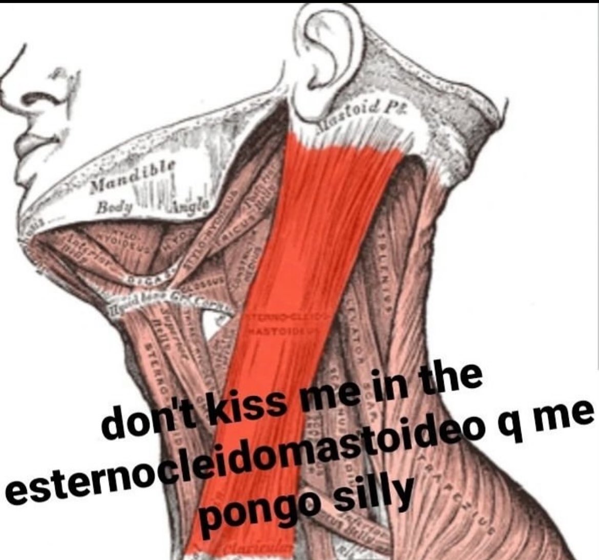 ⋆𐙚₊˚⊹♡ Daniela ⋆𐙚₊˚⊹♡ (@kepasadani666) on Twitter photo 