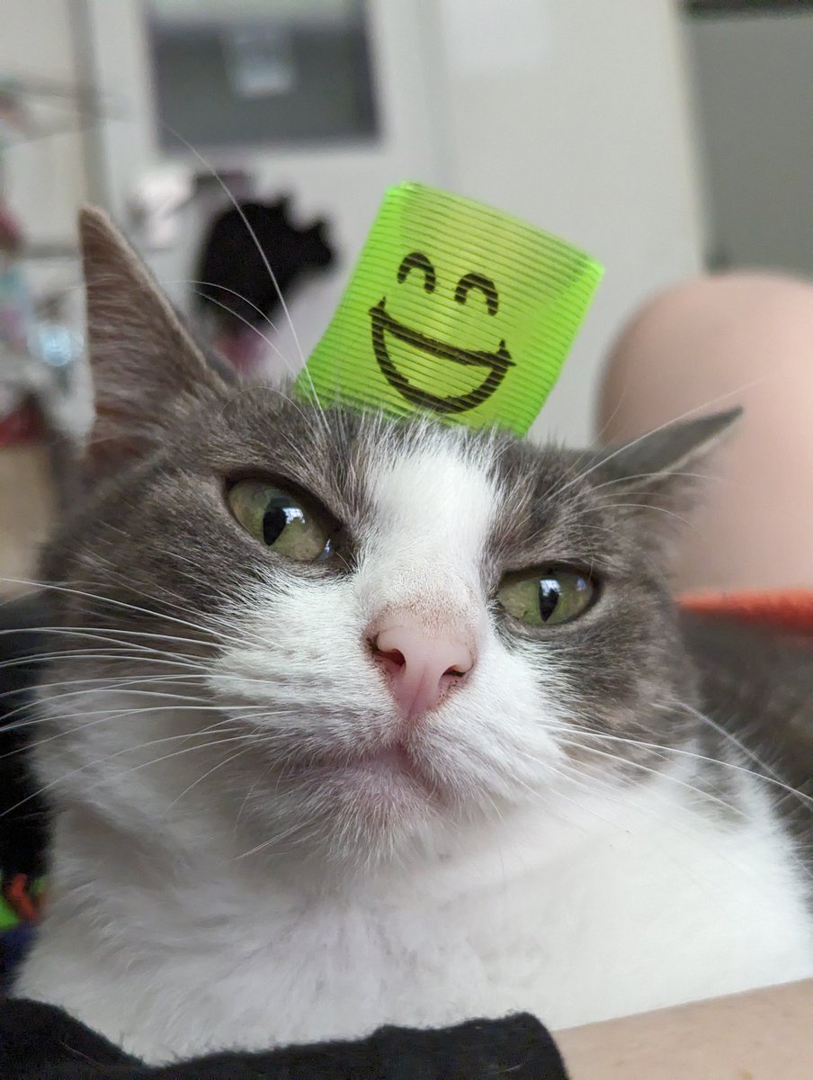 Thomas G Burt ๐๏ธ#MiGW 2024 (@thomasgburt) on Twitter photo :) :( :) :) :( :)
