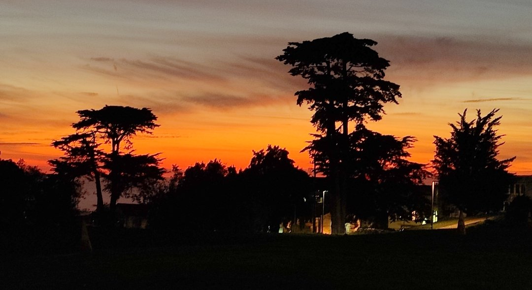 Kat Scott 🐀 tweet media