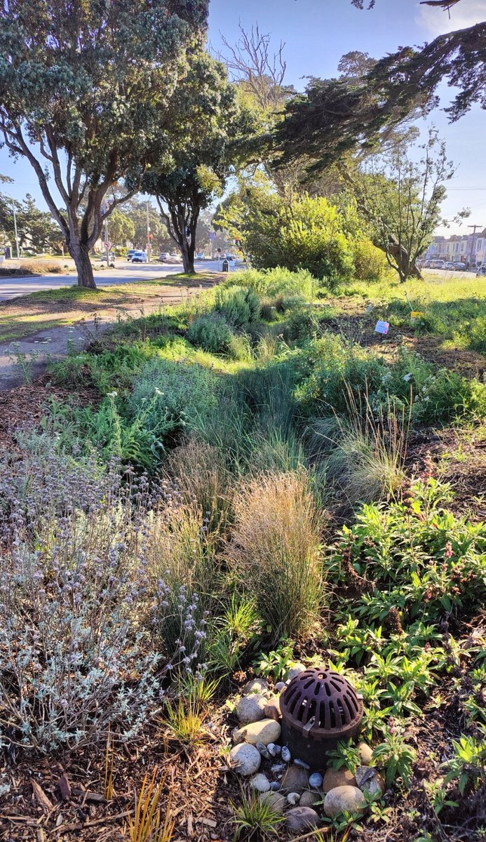 Kat Scott 🐀 tweet media