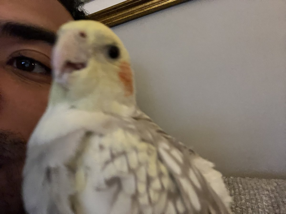 𝗵𝘂𝗻𝘁𝗲𝗿 tweet media