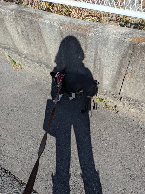 平和な時間が早く戻ってきて欲しいですね。 https://t.co/pNzAqOGP9v