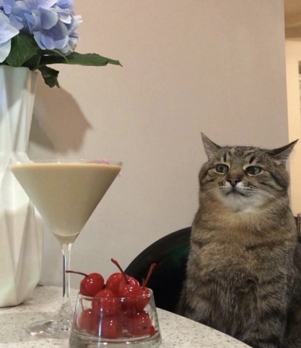 letspetkittens's tweet image. near year, same me