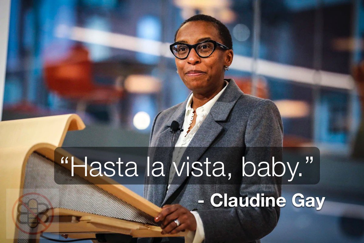 Not the Bee (@not_the_bee) on Twitter photo 