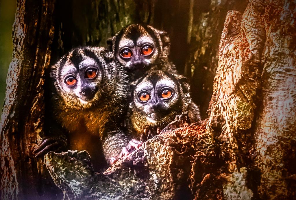 mhall55nine's tweet image. &quot;Enjoy the new year, take care and stay safe, looks like it could be a bumpy ride!&quot; 😎 #Januaryvibes #NatureIsAmazing #photography #NaturePhotography