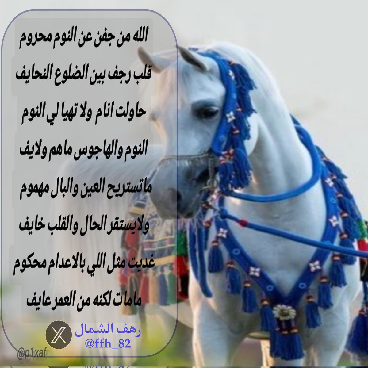 نرجس tweet media