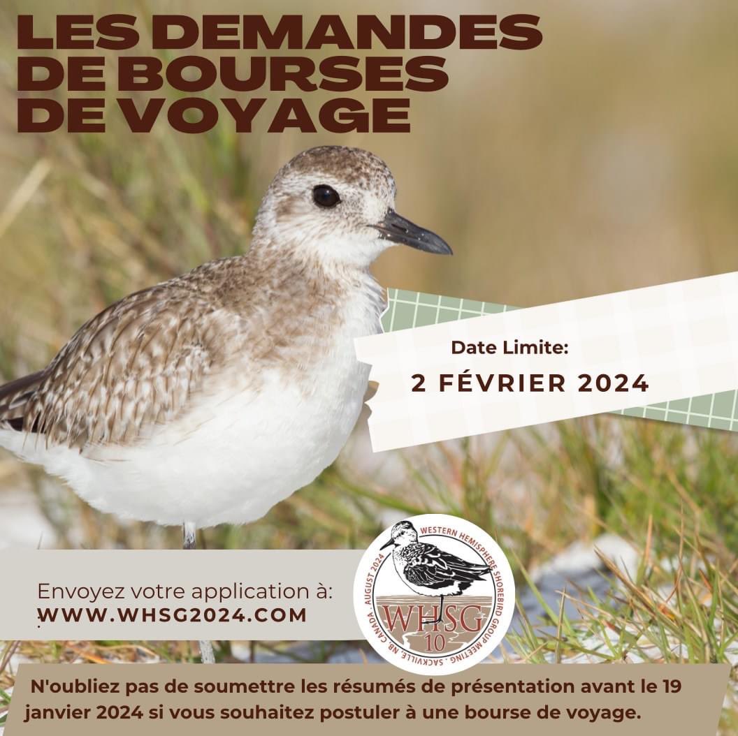Western Hemisphere Shorebird Group 2024 tweet media