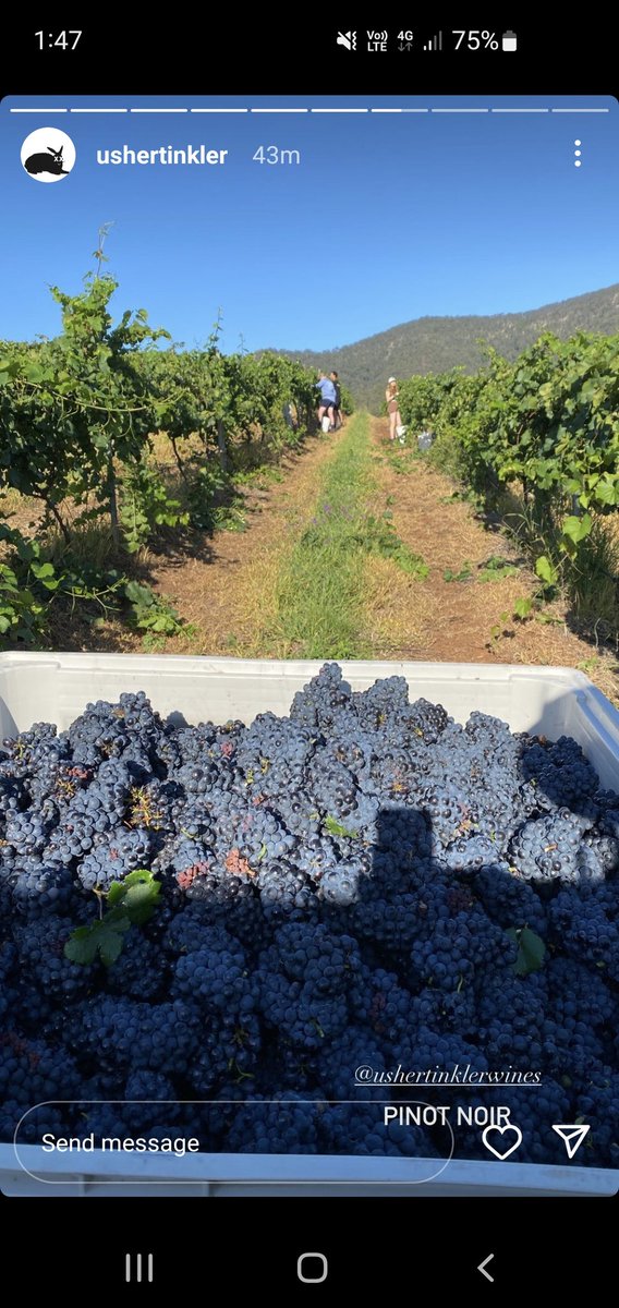 William Wilson tweet media