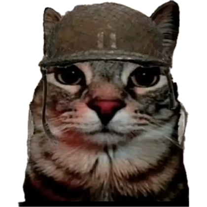 notdayzee's tweet photo. just got my first canvas notification https://t.co/UCiyS6NDs5