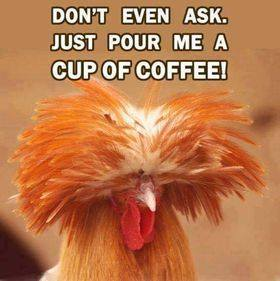 LegendFMfiji's tweet photo. Anyone else feeling like this
#LegendFM_Drive_WithMere
98.4/98.6/98.8/99fm https://t.co/AqzL6GzEOO
