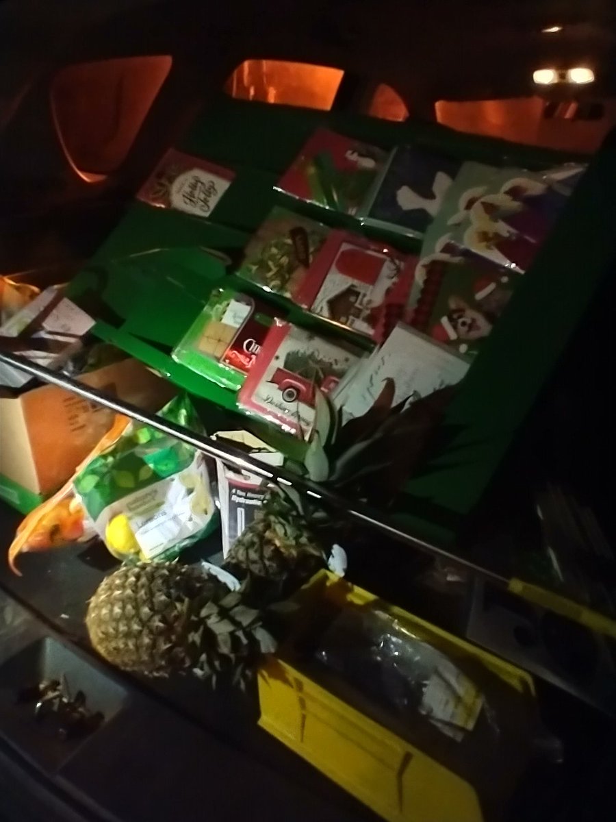 dumpster greetings, blessings and good cheer. AND we found the new year dumpster pineapples! 

2024 is going to be...
2024.

#dumpstertraditions #dumpsterdiving