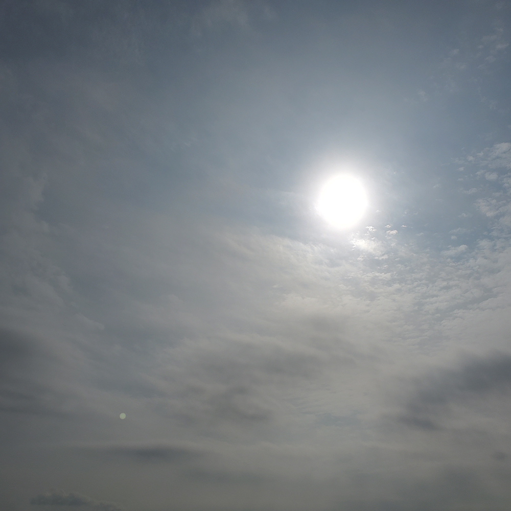 1/3の昼下がり。今日の太陽は「今年一番大きく見える太陽」です。地球が太陽の周りを回る軌道は、僅かに真円でなくて、今日は太陽に一番近い場所・近日点を通過します。と言っても、肉眼で違いは分からないですし、肉眼で見ると目を傷めるので、心の中で大きいんだ…と思ってください。