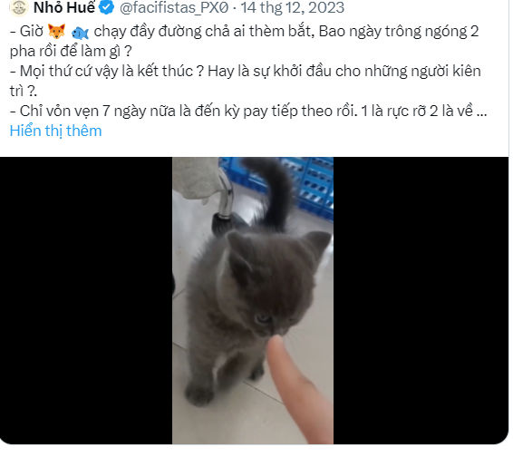 DaNang_Meme's tweet photo. @facifistas_PX0 riêng hai cái này là dính nặng nhất em.Như bên tiktok là bĩ 2 gậy copyright rồi. https://t.co/3gB6UJbyjJ