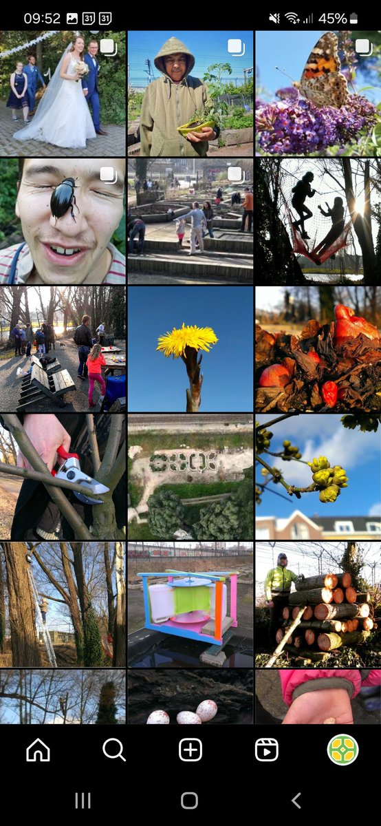 2024, goed voornemen: de #Spoortuin Instagram weer leven inblazen! Herinneringen 2011-2015 hadden we al eens  geüpload... maar daarna niets meer. Daarom nu, in ongeveer 50 foto's en 5 posts, de jaren 2015-2023!  instagram.com/spoortuin/
📸Zo moeilijk kiezen uit al die foto's...