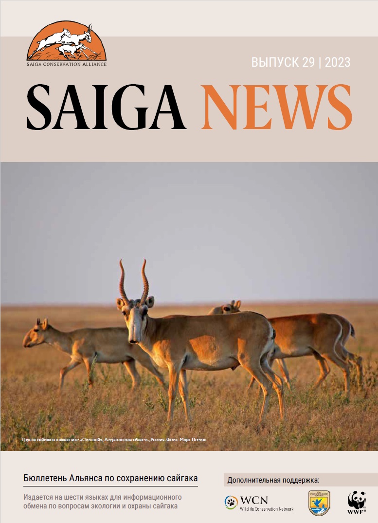 SaigaCA's tweet photo. Saiga News 29 вышел на русском языке! Поделитесь этой новостью! https://t.co/ua1Ys9wBWY
#saigas #conservation https://t.co/w4ffF0sYGF