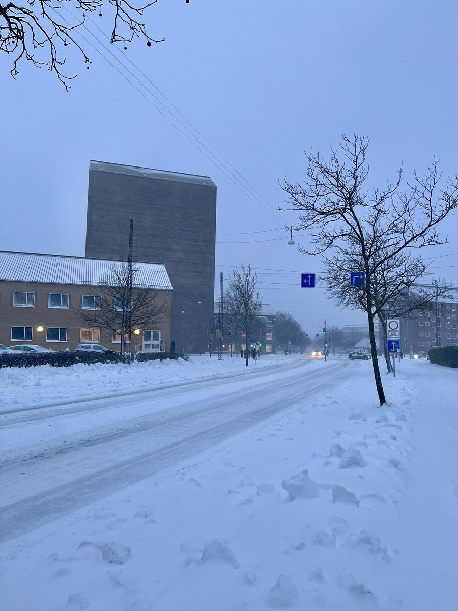 AarhusUni's tweet image. Snevejret påvirker skriftlige tilsynsprøver på #AarhusUni. 
På grund af snestormen d.3. januar aflyses mange af dagens skriftlige tilsynsprøver. Berørte studerende får  direkte besked om, hvad der gælder for eksamen via AU-mail og studieportalen.