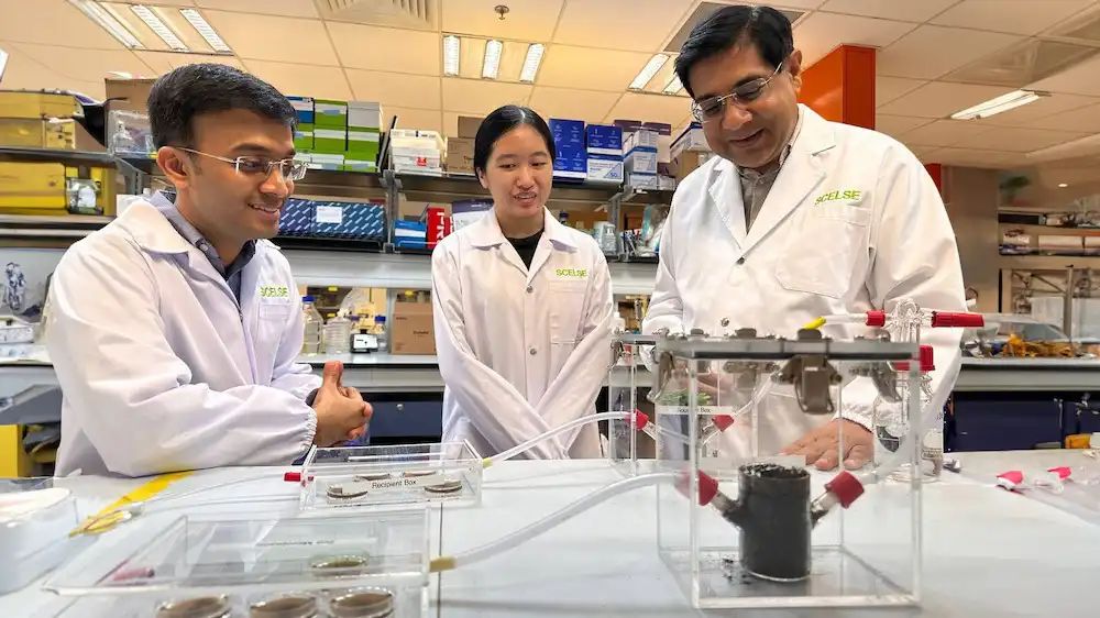 A plant hormone could boost plant growth by 30% buff.ly/3REmLcG via <a href="/NUSingapore/">NUS</a> #PlantScience