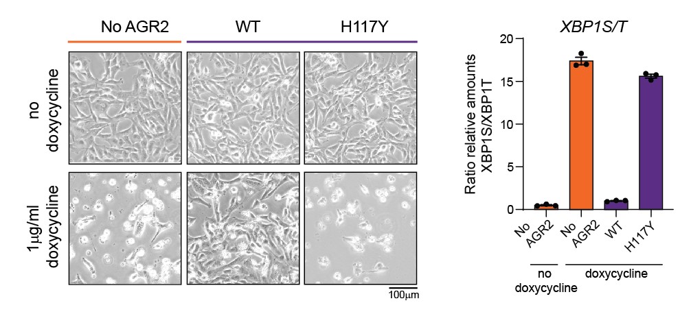 Sophie Janssens Lab tweet media