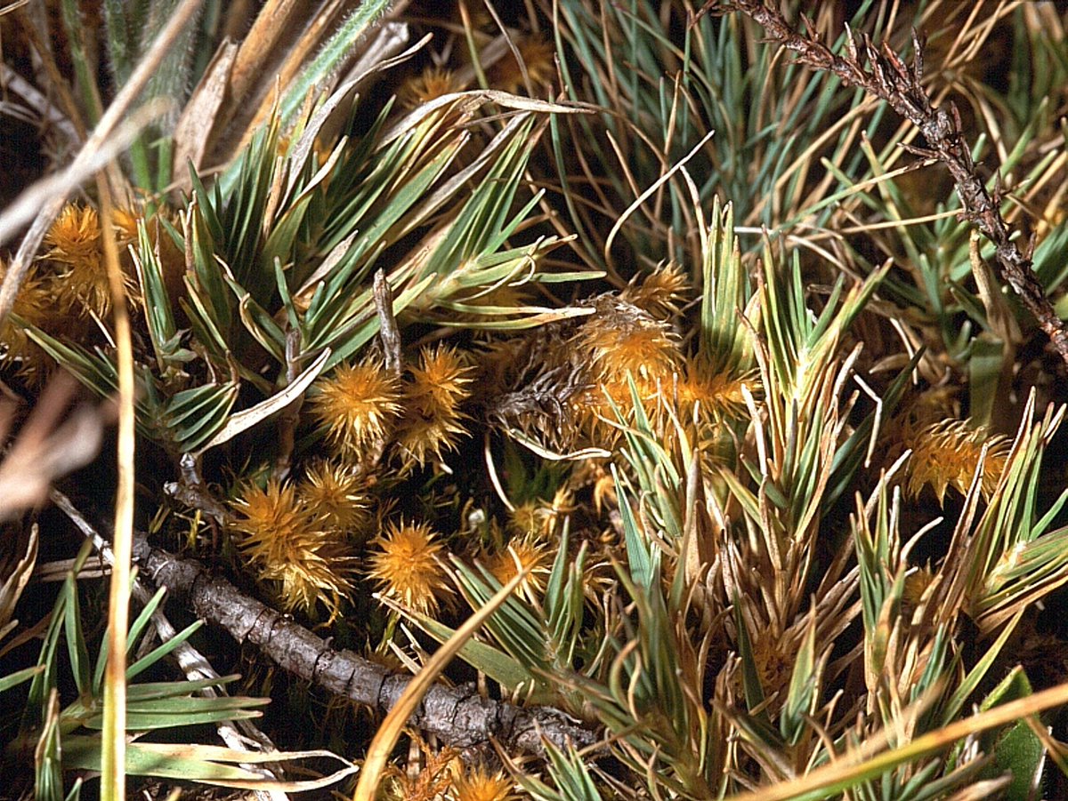 Michael Lueth tweet media