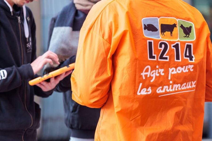 OcciTribune's tweet photo. Montpellier - Veganuary : un challenge d'un mois pour découvrir l'alimentation vegan à Montpellier #montpellier https://t.co/EKH83FbYy2 https://t.co/sHpOW1wOX9