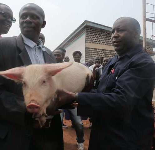 GIra Ingurube MURUNDI