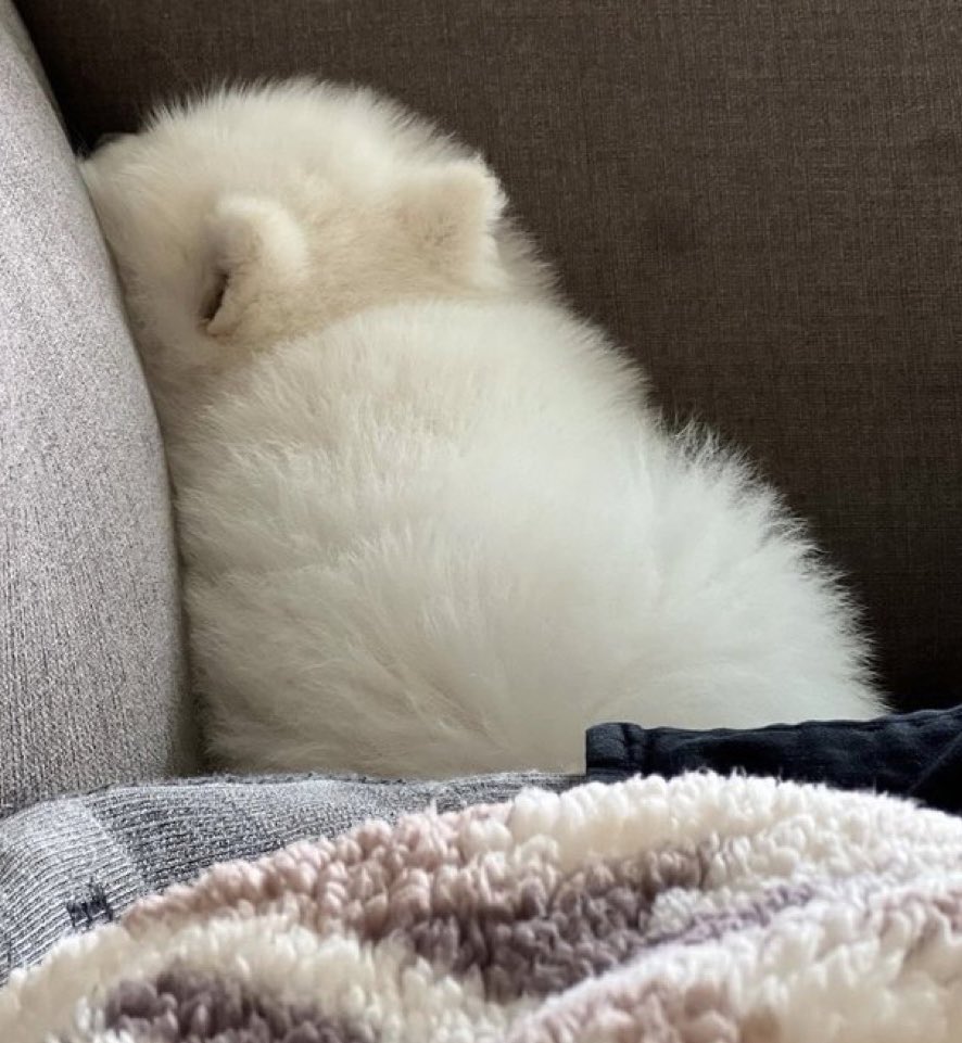 หรง (@aintxjay) on Twitter photo 