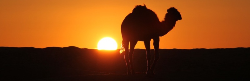 <a href="/ApacheCamel/">Apache Camel</a> 2023 in numbers.
Number of individual committers doing commits in 2023: 195 😀
camel.apache.org/blog/2024/01/0…