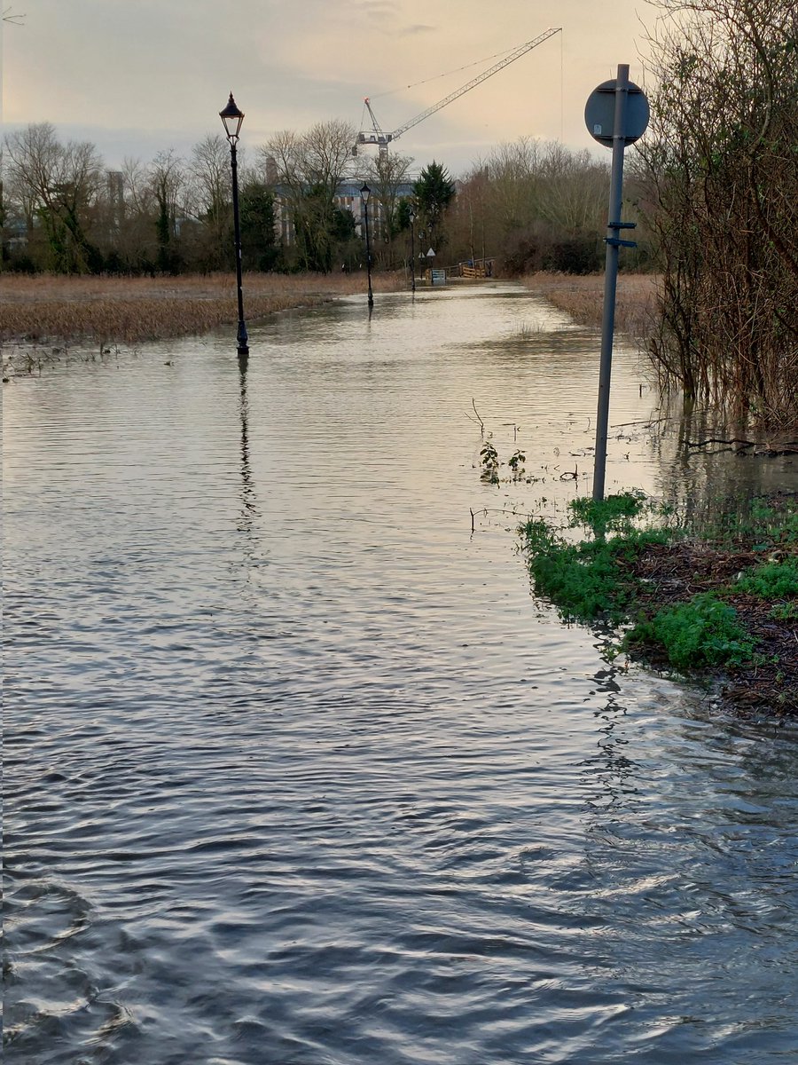 Skin Trader tweet media