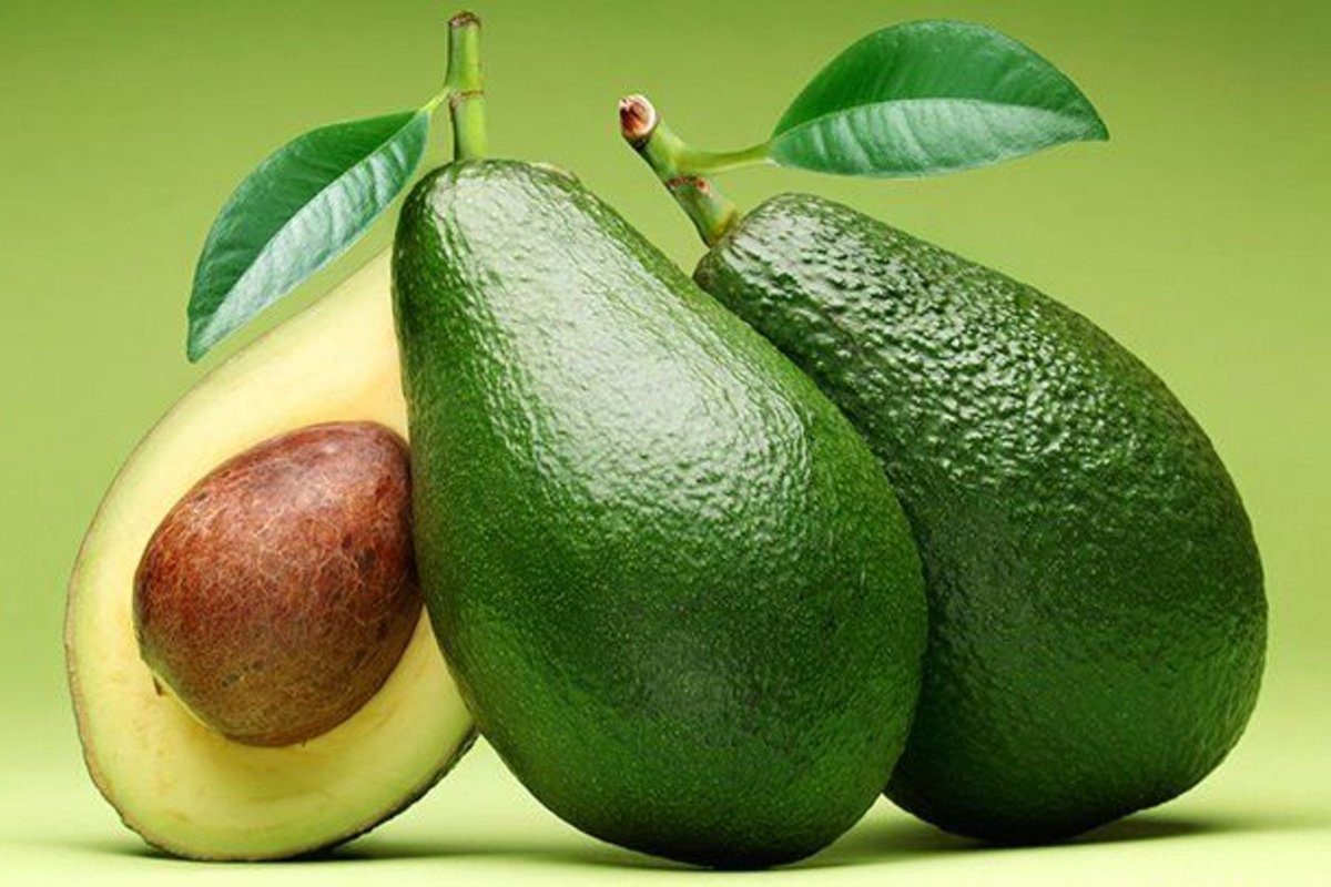 east_truths's tweet photo. The leading producers of avocado fruits in Africa include Kenya, Ethiopia, Malawi, South Africa, Cameroon, and Morocco with considering annual production. https://t.co/87iv2UUxZ5