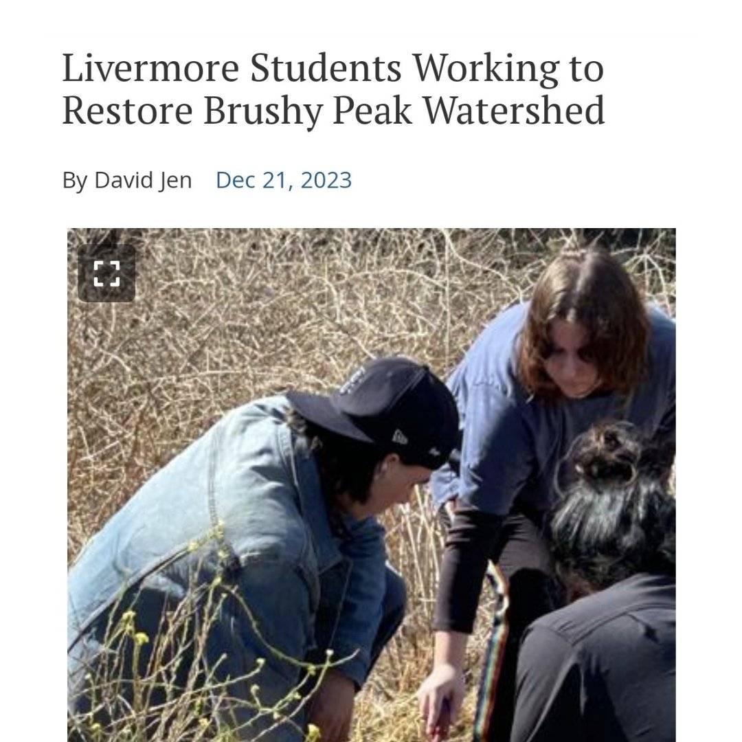 TriValleyConser's tweet photo. Croce Elementary and Vineyard Alternative students collaborated to plant oak and buckeye seeds in Brushy Peak Regional Preserve, with guidance from their science teacher, Gretchen Reynolds, and support from organizations like @EBRPD &amp; @PointBlueConSci.

https://t.co/3PFTocPoLx https://t.co/xohEMP9qG1