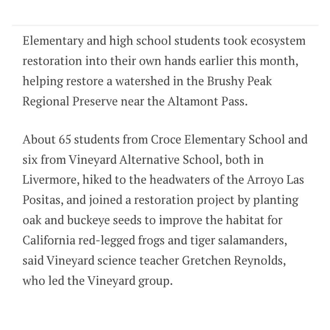 TriValleyConser's tweet photo. Croce Elementary and Vineyard Alternative students collaborated to plant oak and buckeye seeds in Brushy Peak Regional Preserve, with guidance from their science teacher, Gretchen Reynolds, and support from organizations like @EBRPD &amp; @PointBlueConSci.

https://t.co/3PFTocPoLx https://t.co/xohEMP9qG1