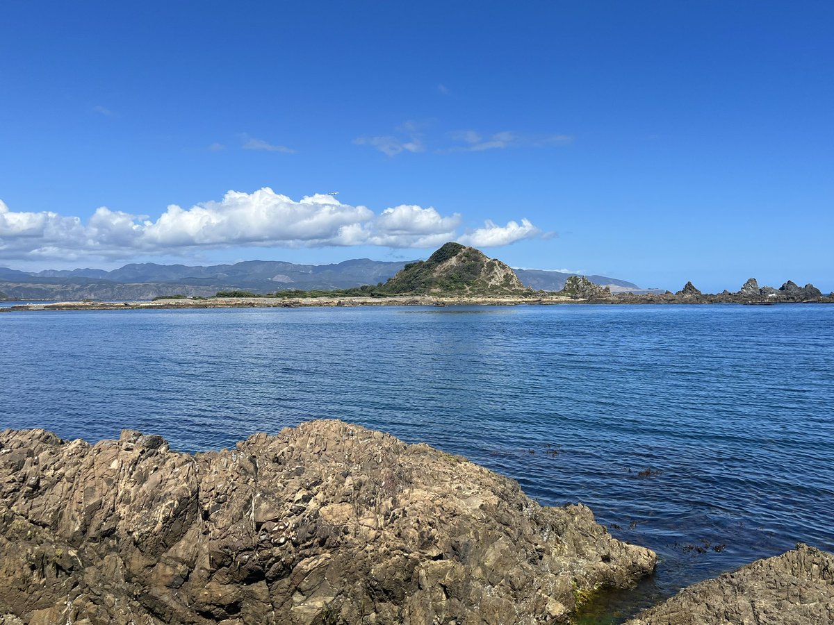 Mark Jones tweet media