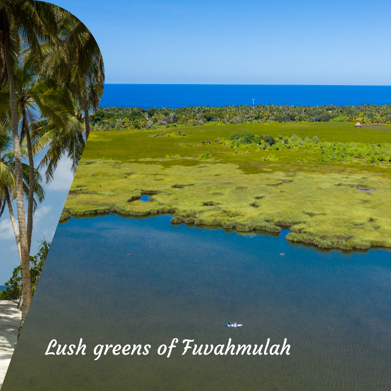 visitmaldives's tweet photo. Discover the enchanting beauty of Fuvahmulah, where tranquility meets nature's wonders! 
📷:@ataraxisgrandandspa &amp; @seefromthesky: 1, 2, 5 &amp; 6

#WorldLeadingDestination2023 #VisitMaldives #SunnySideofLife