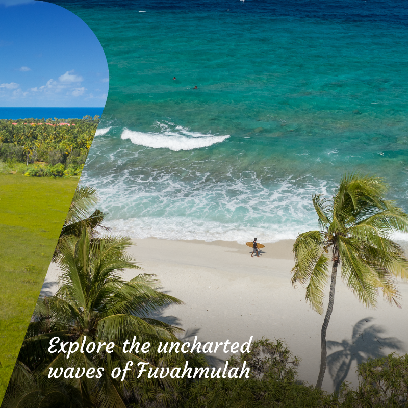 visitmaldives's tweet photo. Discover the enchanting beauty of Fuvahmulah, where tranquility meets nature's wonders! 
📷:@ataraxisgrandandspa &amp; @seefromthesky: 1, 2, 5 &amp; 6

#WorldLeadingDestination2023 #VisitMaldives #SunnySideofLife