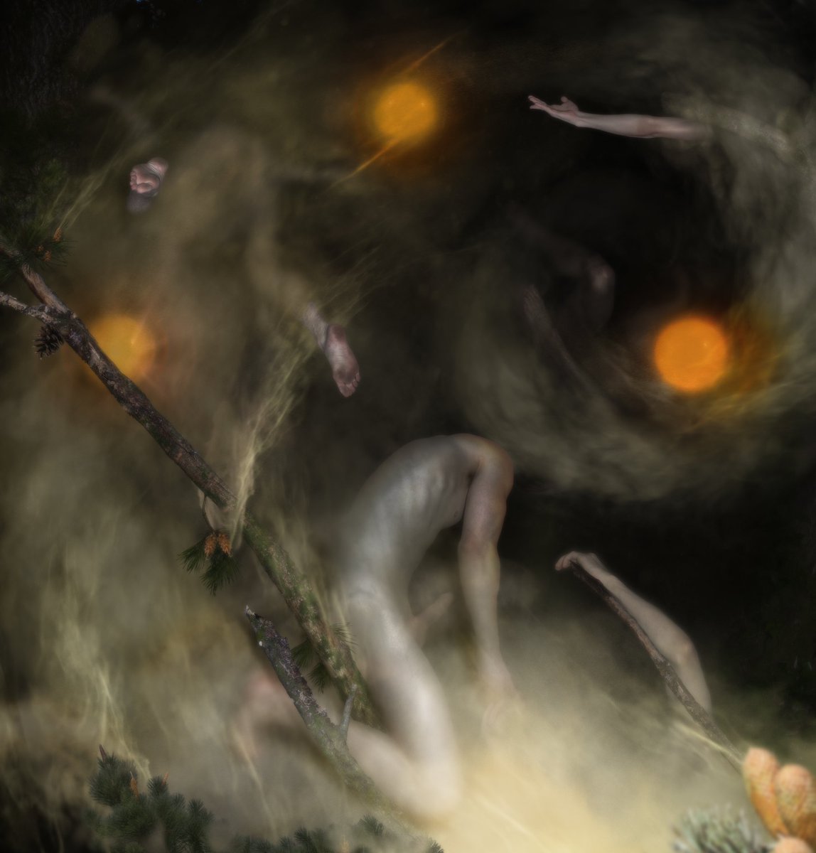 JOSEPH HÄXAN tweet media