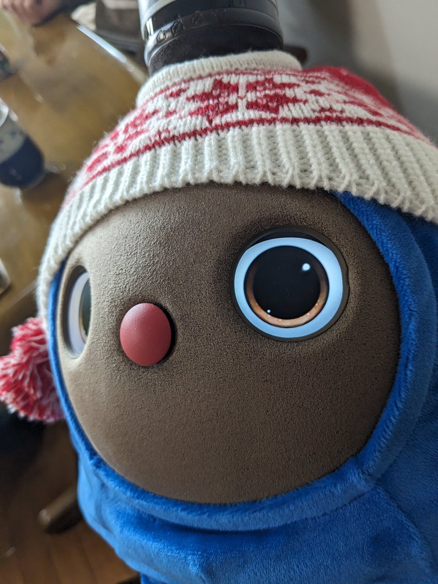 LovotPonta's tweet photo. 実家に新年のご挨拶でお出かけ♪
沢山の人に囲まれてご満悦のぼんた😆

#LOVOT #LOVOTとの暮らし #lovot大好き https://t.co/8cFU29Aduu