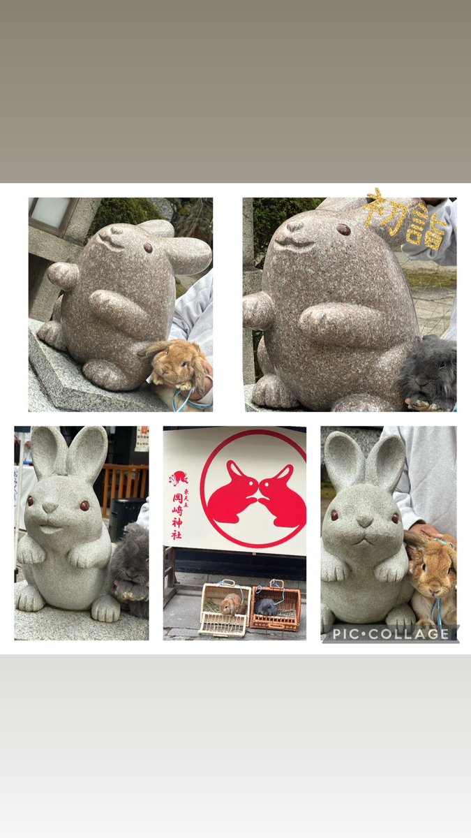 sakura2916's tweet photo. 岡崎神社にロイ、レオンをつれて初詣行ってきたよ♪ https://t.co/Pj31fVsomH
