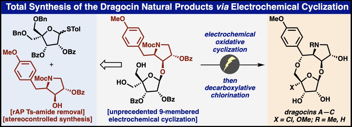 ⚡️An electrifying total synthesis to start 2024⚡️! The total synthesis of Dragocins A-C appearing today in @ChemRxiv: chemrxiv.org/engage/chemrxi… . Happy New Year! 🥂