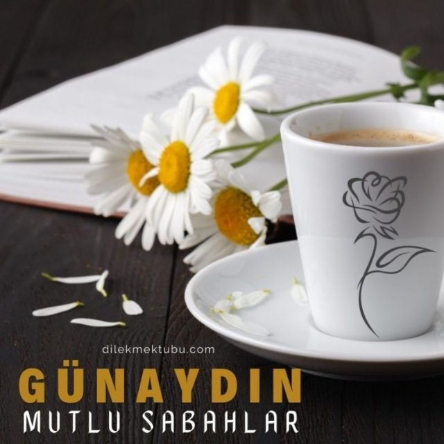 ayin_k's tweet photo. Ve bazıları.....
Çiçek açtırır gönlümüze...

Günaydınnn 🙏😇💫☕️🐞🌻 https://t.co/UGMN3lICgA