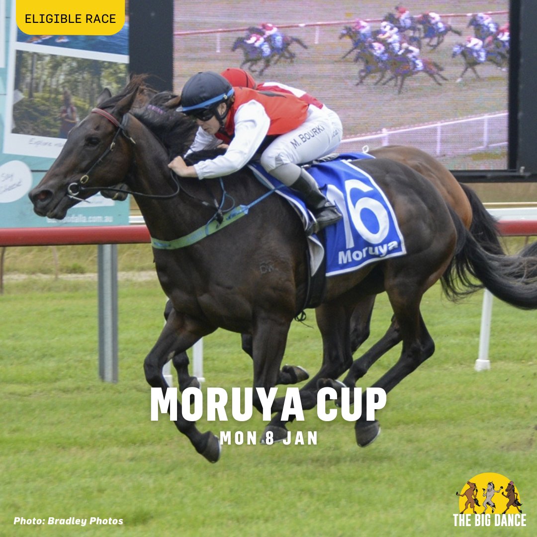 We're a matter of days away from the next eligible race for the 2024 $3 million Big Dance 💃, as the focus turns to Moruya on Monday. Crackalacka won the race a year ago for Theresa Bateup. 👇