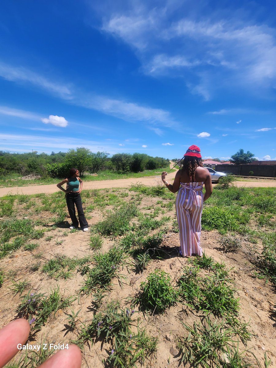 Meidesign73's tweet image. Current neighborhood 2024