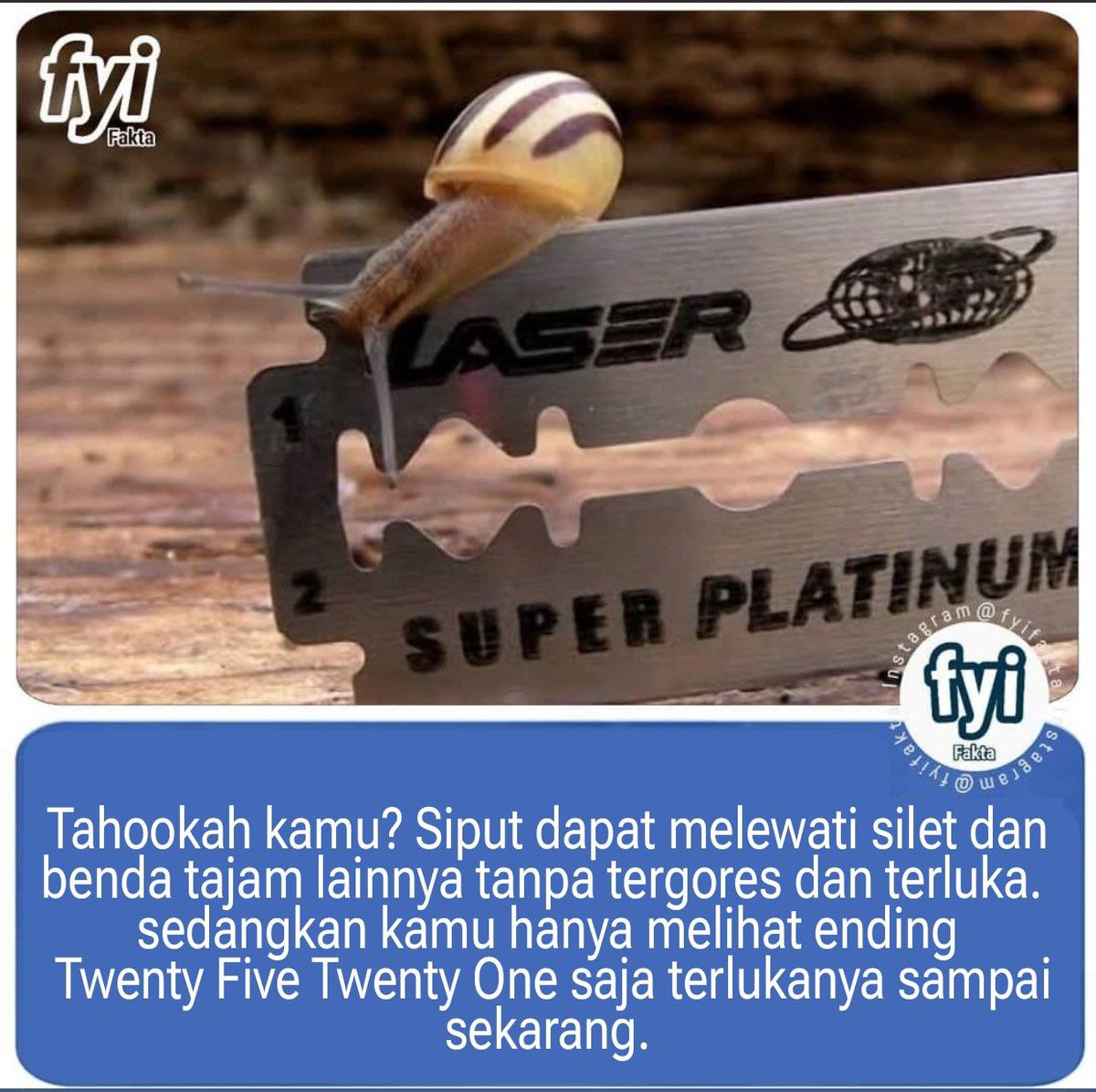 Met siang warga •kdm• ada kah yang sudah tahu tentang fakta yang satu ini?