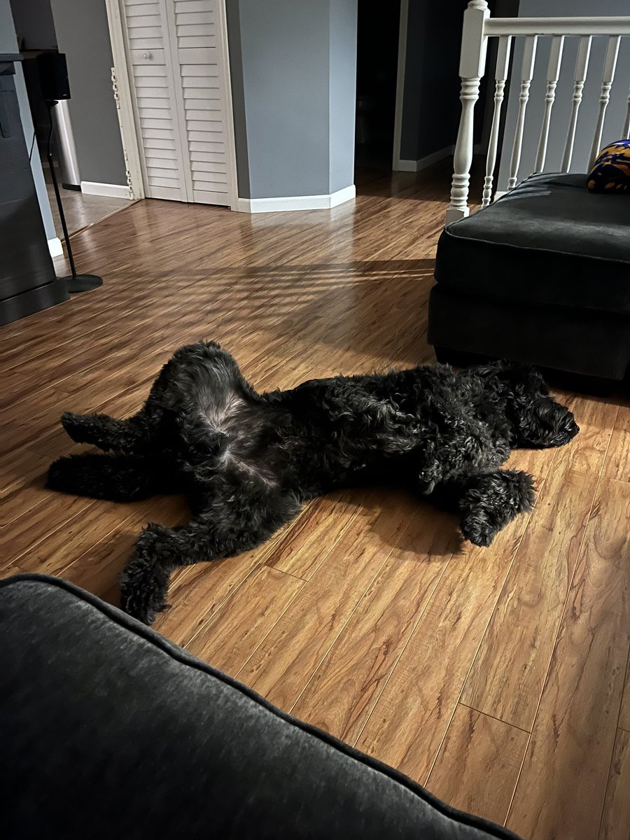Don’t mind me. I’m just going to lay right here in the middle of the floor.