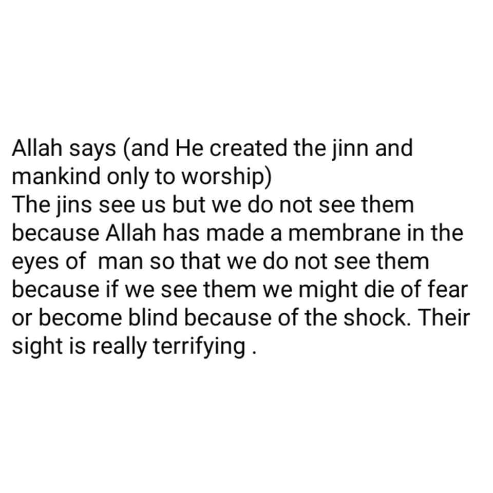 Cool_Ustaz's tweet photo. 1/2 https://t.co/GLS1QmTEoc